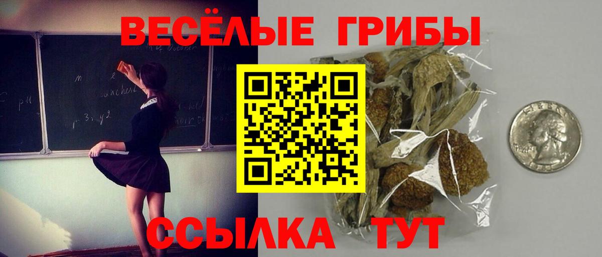 Лосино-Петровский  Псилоцибиновые грибы Psilocybine cubensis  наркота  Галлюциногенные грибы Psilocybine cubensis  Вход с VPN 